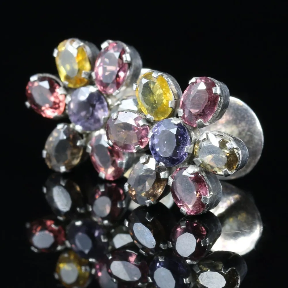 Antique Victorian Harlequin Gemstone Earrings Circa 1880