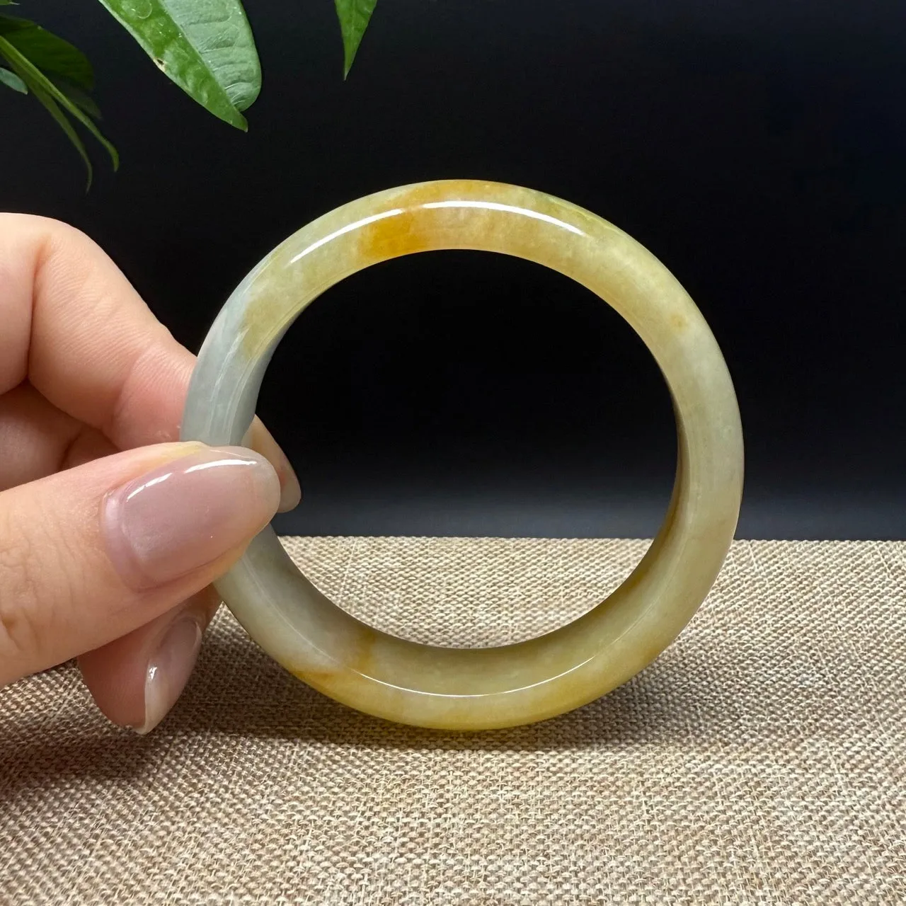Genuine Burmese Yellow Green lavender Jade Jadeite Bangle Bracelet ( 52.3mm )