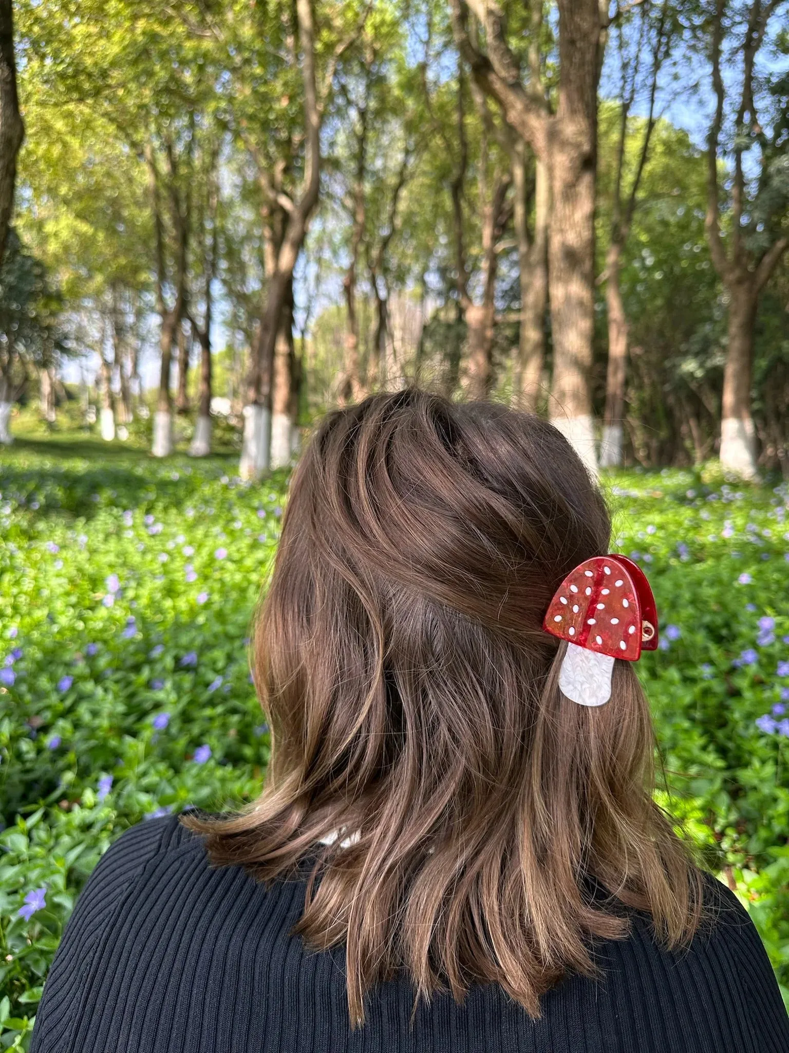 Hand-Painted Toadstool Hair Claw