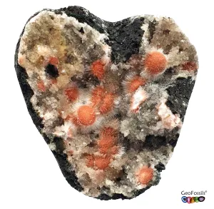 Heart Shaped Thomsonite Free Standing Mineral