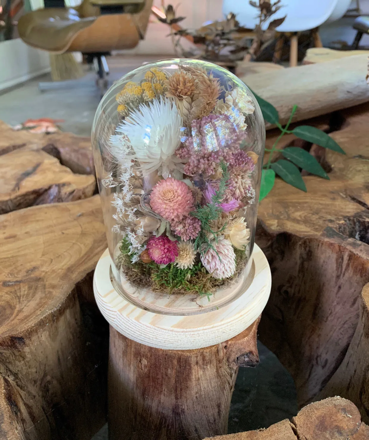 Medium / Small Dried Flowers Glass Dome / Cloche