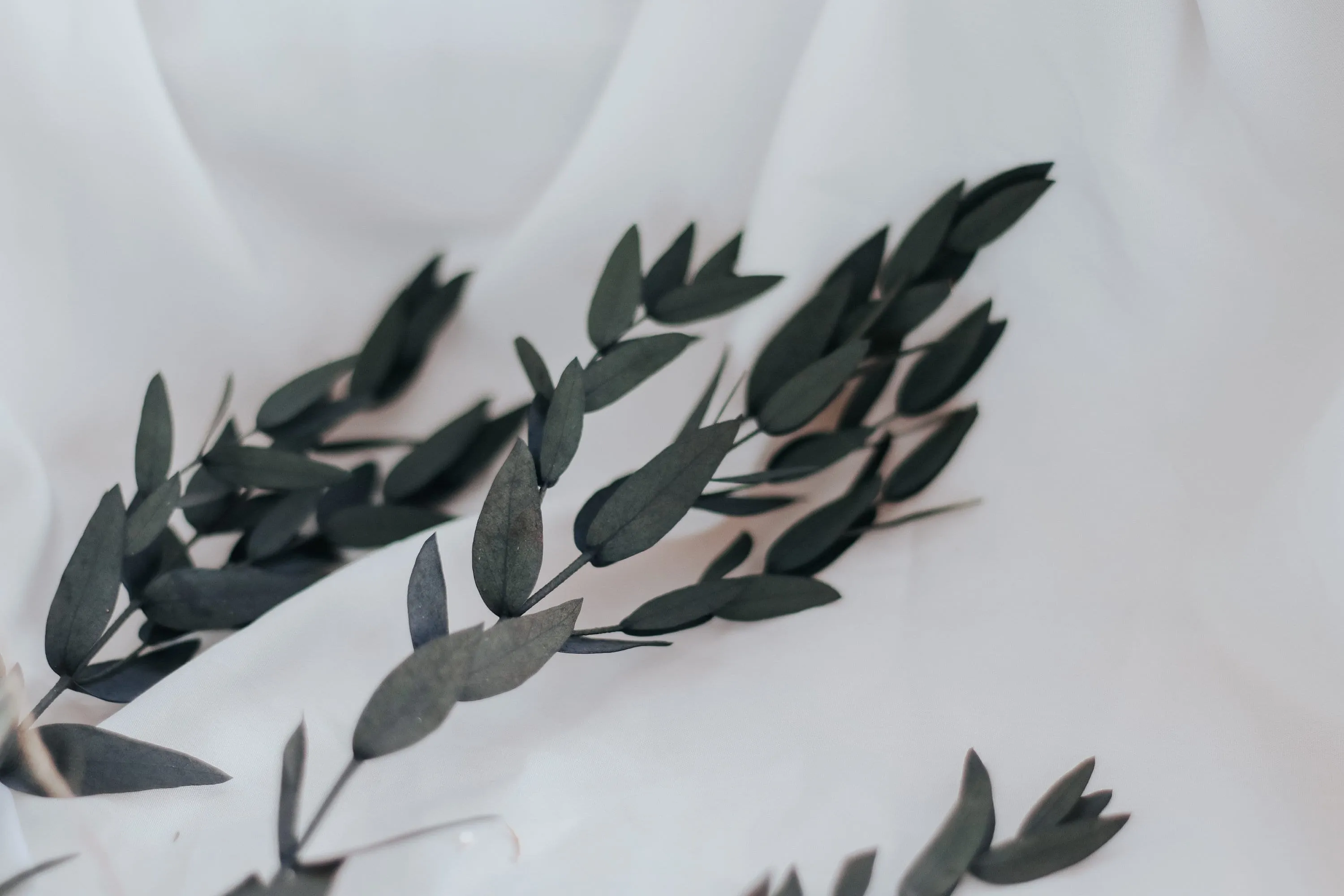 Real Dried Eucalyptus Baby's Breath Crown / Gypsophila Crown / Real Dried Flowers Crown / Dried Wedding Crown
